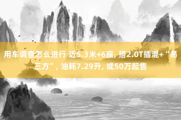 用车调查怎么进行 近5.3米+6座, 搭2.0T插混+“易三方”, 油耗7.29升, 或50万起售