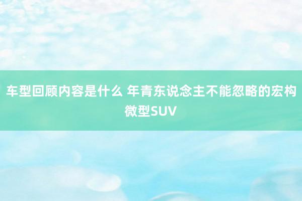 车型回顾内容是什么 年青东说念主不能忽略的宏构微型SUV