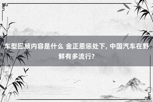 车型回顾内容是什么 金正恩惩处下, 中国汽车在野鲜有多流行?