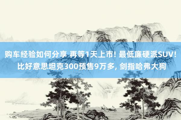 购车经验如何分享 再等1天上市! 最低廉硬派SUV! 比好意思坦克300预售9万多, 剑指哈弗大狗