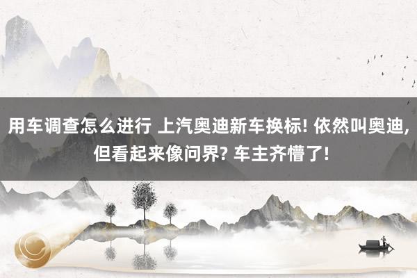 用车调查怎么进行 上汽奥迪新车换标! 依然叫奥迪, 但看起来像问界? 车主齐懵了!