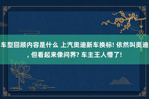 车型回顾内容是什么 上汽奥迪新车换标! 依然叫奥迪, 但看起来像问界? 车主王人懵了!