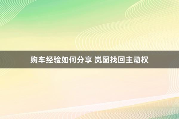 购车经验如何分享 岚图找回主动权