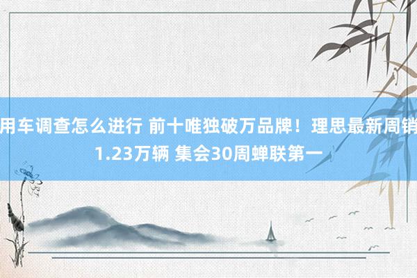 用车调查怎么进行 前十唯独破万品牌！理思最新周销1.23万辆 集会30周蝉联第一