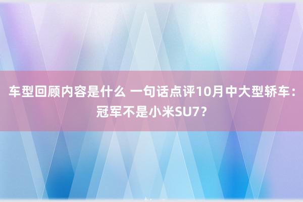 车型回顾内容是什么 一句话点评10月中大型轿车：冠军不是小米SU7？