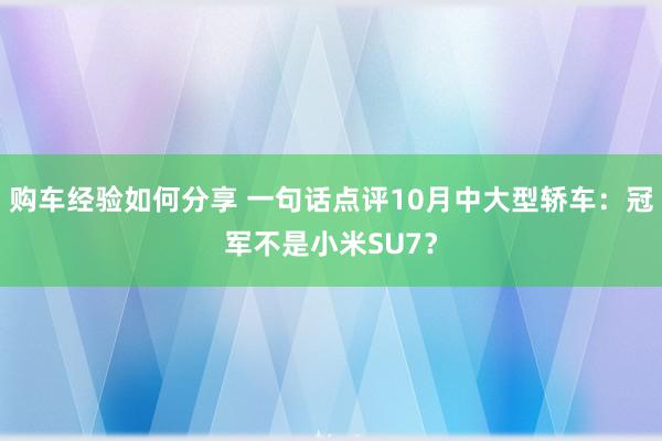 购车经验如何分享 一句话点评10月中大型轿车：冠军不是小米SU7？