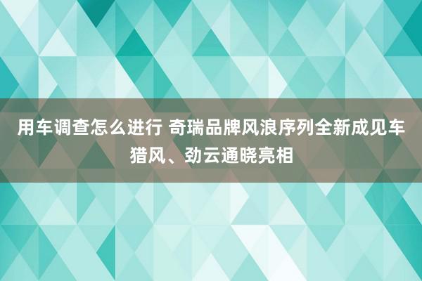 用车调查怎么进行 奇瑞品牌风浪序列全新成见车猎风、劲云通晓亮相