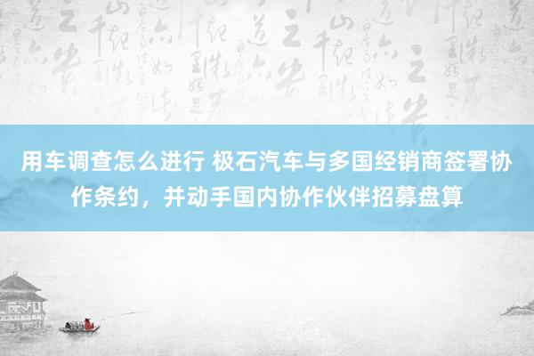 用车调查怎么进行 极石汽车与多国经销商签署协作条约，并动手国内协作伙伴招募盘算