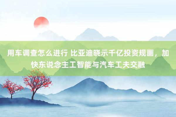 用车调查怎么进行 比亚迪晓示千亿投资规画，加快东说念主工智能与汽车工夫交融