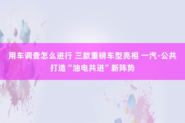 用车调查怎么进行 三款重磅车型亮相 一汽-公共打造“油电共进”新阵势