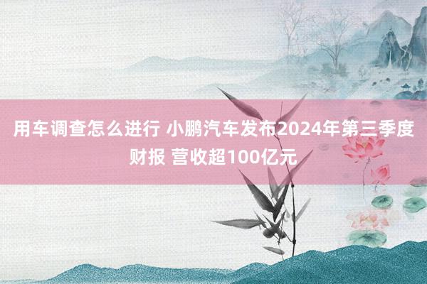 用车调查怎么进行 小鹏汽车发布2024年第三季度财报 营收超100亿元