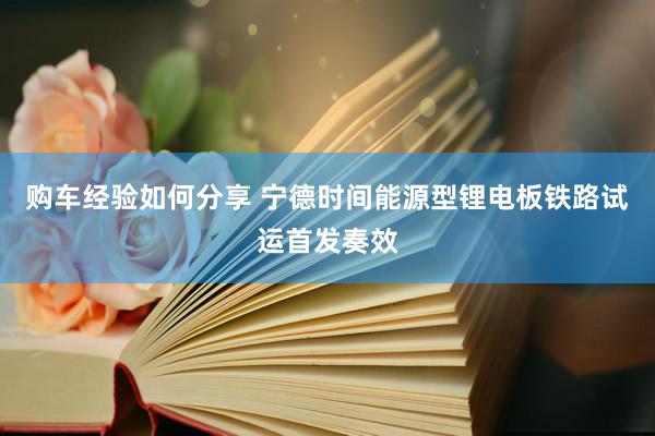 购车经验如何分享 宁德时间能源型锂电板铁路试运首发奏效