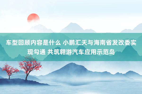 车型回顾内容是什么 小鹏汇天与海南省发改委实现勾通 共筑翱游汽车应用示范岛