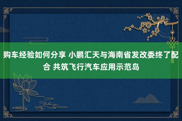 购车经验如何分享 小鹏汇天与海南省发改委终了配合 共筑飞行汽车应用示范岛