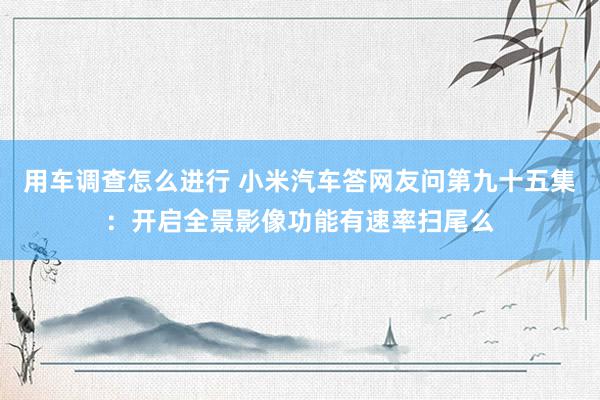 用车调查怎么进行 小米汽车答网友问第九十五集：开启全景影像功能有速率扫尾么