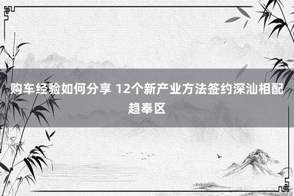 购车经验如何分享 12个新产业方法签约深汕相配趋奉区