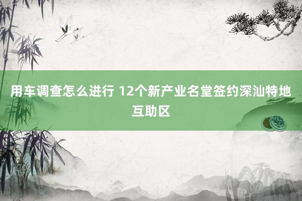 用车调查怎么进行 12个新产业名堂签约深汕特地互助区