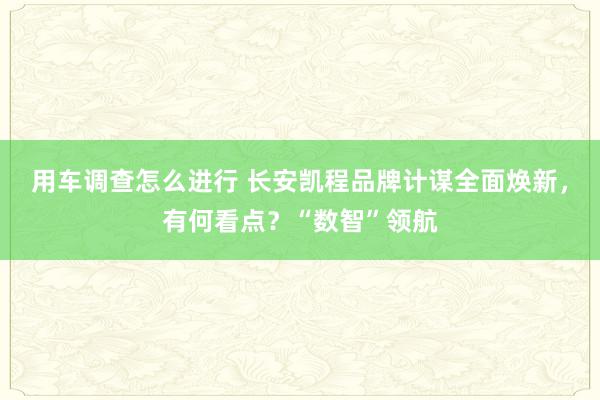 用车调查怎么进行 长安凯程品牌计谋全面焕新，有何看点？“数智”领航