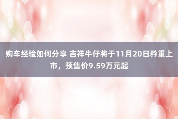 购车经验如何分享 吉祥牛仔将于11月20日矜重上市，预售价9.59万元起