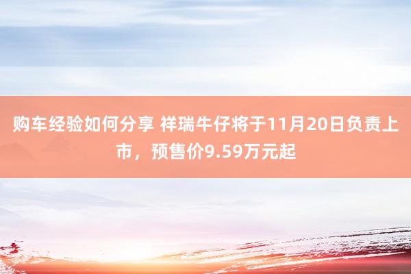 购车经验如何分享 祥瑞牛仔将于11月20日负责上市，预售价9.59万元起