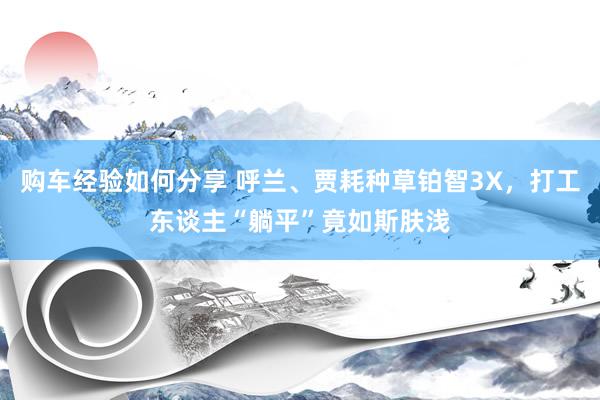 购车经验如何分享 呼兰、贾耗种草铂智3X，打工东谈主“躺平”竟如斯肤浅